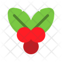 پیش‌نمایش فایل mistletoe-149 از پک زمستان – تخت