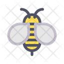 پیش‌نمایش فایل bee-351 از پک پاییز – خطی دو رنگ