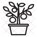 پیش‌نمایش فایل orange-tree-1417742 از پک سال نو چینی