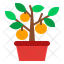پیش‌نمایش فایل kumquat-tree-1418388 از پک سال نو چینی