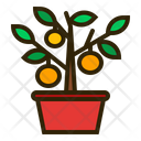 پیش‌نمایش فایل kumquat-tree-1418438 از پک سال نو چینی