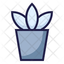 پیش‌نمایش فایل small-plant-1447545 از پک مبلمان و لوازم خانه