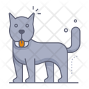 پیش‌نمایش فایل dog-9810500 از پک دامپزشکی