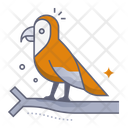 پیش‌نمایش فایل parrot-9810506 از پک دامپزشکی