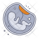 پیش‌نمایش فایل fetus-10078665 از پک آناتومی اندام‌ها