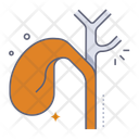 پیش‌نمایش فایل gallbladder-10078666 از پک آناتومی اندام‌ها