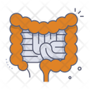 پیش‌نمایش فایل intestines-10078668 از پک آناتومی اندام‌ها