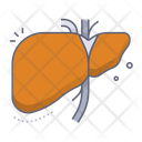 پیش‌نمایش فایل liver-10078671 از پک آناتومی اندام‌ها