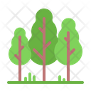پیش‌نمایش فایل forest-1629029 از پک سفر و گردشگری