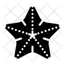 پیش‌نمایش فایل starfish-1643072 از پک تعطیلات تابستان – گلیف