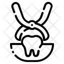 پیش‌نمایش فایل extraction-1716931 از پک مراقبت از دندان
