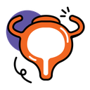 پیش‌نمایش فایل bladder-14201602 از پک آناتومی اندام‌ها