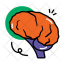پیش‌نمایش فایل brain-14201604 از پک آناتومی اندام‌ها