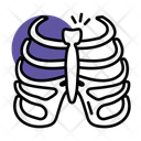 پیش‌نمایش فایل cages-14201606 از پک آناتومی اندام‌ها