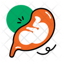 پیش‌نمایش فایل fetus-14201609 از پک آناتومی اندام‌ها