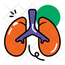 پیش‌نمایش فایل lungs-14201616 از پک آناتومی اندام‌ها