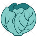 پیش‌نمایش فایل cabbage-14620041 از پک سبزیجات سالم
