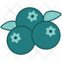 پیش‌نمایش فایل blueberry-14600765 از پک میوه تازه پر شده