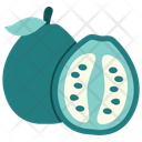 پیش‌نمایش فایل guava-14600812 از پک میوه تازه