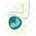 پیش‌نمایش فایل pregnancy-14619966 از پک بیمارستان و مراقبت‌های بهداشتی