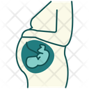 پیش‌نمایش فایل pregnancy-14619936 از پک بیمارستان و مراقبت‌های بهداشتی