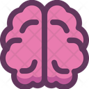 پیش‌نمایش فایل brain-16405219 از پک کالبدشناسی