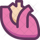 پیش‌نمایش فایل heart-16405223 از پک کالبدشناسی