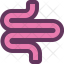 پیش‌نمایش فایل intestines-16405224 از پک کالبدشناسی