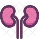 پیش‌نمایش فایل kidneys-16405225 از پک کالبدشناسی