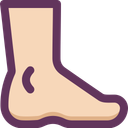 پیش‌نمایش فایل leg-16405226 از پک کالبدشناسی
