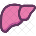 پیش‌نمایش فایل liver-16405227 از پک کالبدشناسی