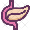 پیش‌نمایش فایل pancreas-16405232 از پک کالبدشناسی