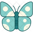 پیش‌نمایش فایل butterfly-16642483 از پک باغبانی