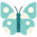 پیش‌نمایش فایل butterfly-16642608 از پک باغبانی