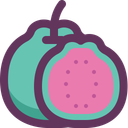 پیش‌نمایش فایل guava-16628775 از پک میوه تونتا