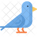 پیش‌نمایش فایل pigeon-2049092 از پک روز ولنتاین