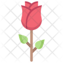 پیش‌نمایش فایل rose-2049086 از پک روز ولنتاین