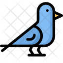 پیش‌نمایش فایل pigeon-2049042 از پک روز ولنتاین