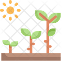 پیش‌نمایش فایل growth-2061932 از پک اکولوژی