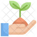پیش‌نمایش فایل plant-on-hand-2061926 از پک اکولوژی