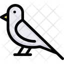 پیش‌نمایش فایل bird-2121369 از پک بهار