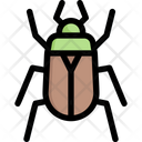 پیش‌نمایش فایل chafer-2121365 از پک بهار