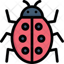 پیش‌نمایش فایل ladybug-2121348 از پک بهار