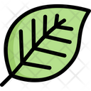 پیش‌نمایش فایل leaf-2121347 از پک بهار