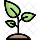 پیش‌نمایش فایل sprout-2121335 از پک بهار