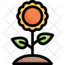پیش‌نمایش فایل sunflower-2121332 از پک بهار