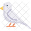 پیش‌نمایش فایل bird-2121115 از پک بهار