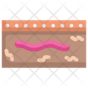 پیش‌نمایش فایل earthworm-in-earth-2121106 از پک بهار