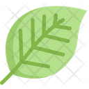 پیش‌نمایش فایل leaf-2121093 از پک بهار