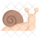 پیش‌نمایش فایل snail-2121083 از پک بهار